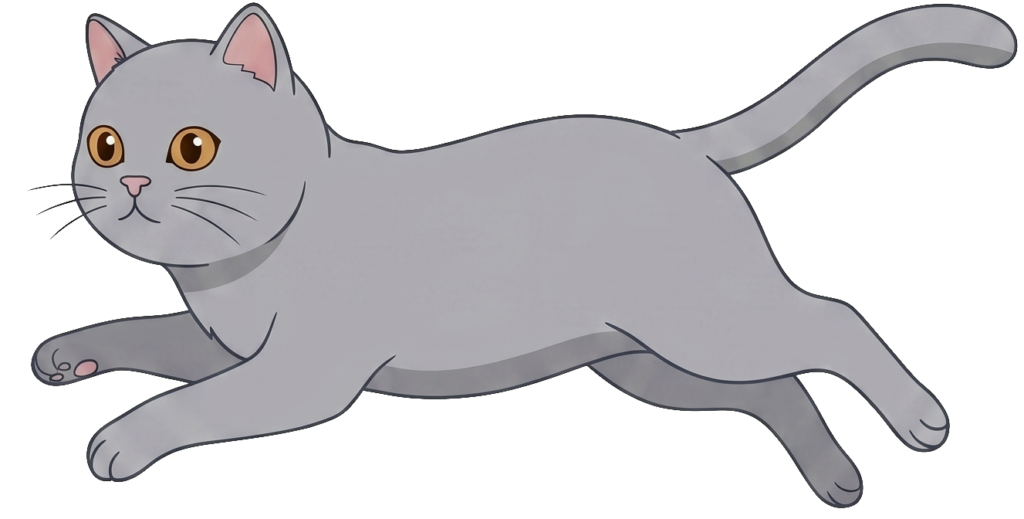 Chat qui court